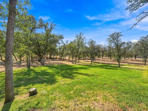 Photograph 37 of 9595 Swede Creek Rd