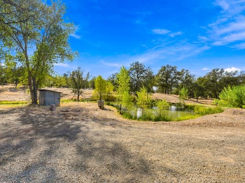Photograph 42 of 9595 Swede Creek Rd