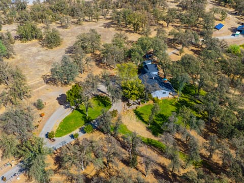 Photograph 52 of 9595 Swede Creek Rd